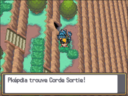Grotte Argentée Corde Sortie HGSS.png