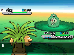 Pilonnage N2B2.gif