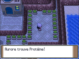 Route 213 Protéine Pt.png