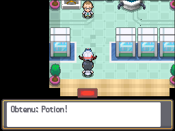 Bourg Geon Potion HGSS.png