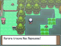 Route 212 Max Repousse Pt.png