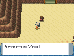 Route 213 Calcium DP.png