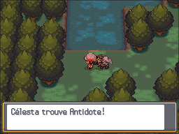 Bois aux Chênes Antidote HGSS.png