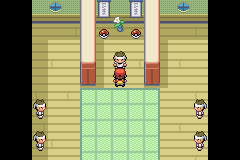 Dojo de Safrania RFVF.png
