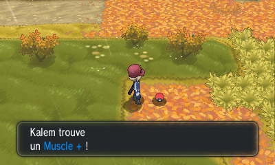 Fichier:Route 15 Muscle + XY.png