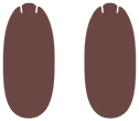 Empreintes 0172 DEPS.png