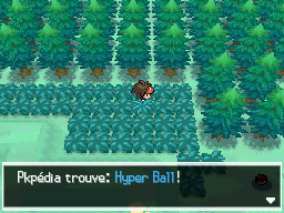 Fichier:Route 12 Hyper Ball N2B2.png