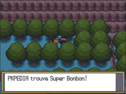 Route 28 Super Bonbon HGSS.png