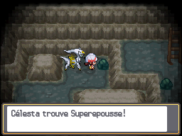 Tourb'Îles Superepousse HGSS.png