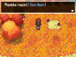 Fichier:Route 20 Baie Mepo 1 N2B2.png