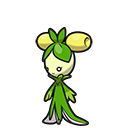 Olivado