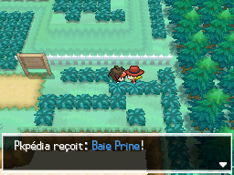 Fichier:Route 1 Baie Prine 2 N2B2.png