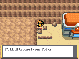 Route 3 Hyper Potion HGSS.png
