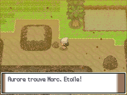 Route 228 Morc Etoile Pt.png