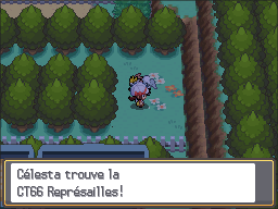 Route 35 CT66 HGSS.png