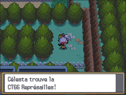 Fichier:Route 35 CT66 HGSS.png