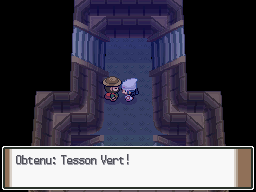 Fichier:Ruines Bonville Tesson Vert Pt.png