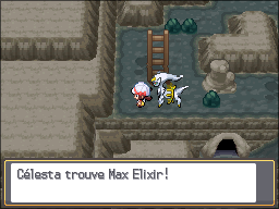 Tourb'Îles Max Elixir HGSS.png