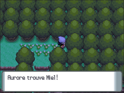 Bonville Miel DP.png