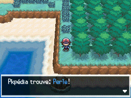 Route 1 Perle NB.png
