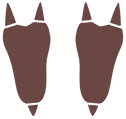 Empreintes 0125 DEPS.png