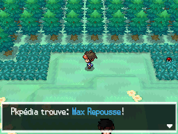 Fichier:Route 12 Max Repousse N2B2.png