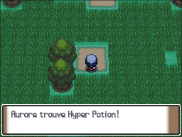 Route 210 Hyper Potion 2 Pt.png