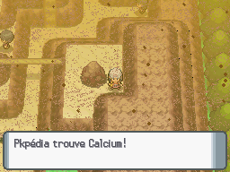 Fichier:Route 228 Calcium DP.png