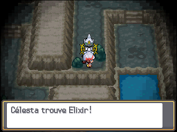 Antre Noir Elixir HGSS.png