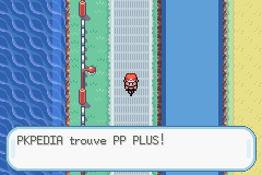 Route 17 PP Plus RFVF.png