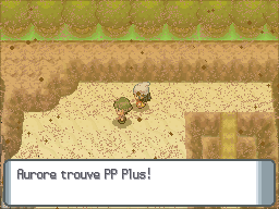 Route 228 PP Plus DP.png