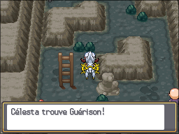 Tourb'Îles Guérison 2 HGSS.png