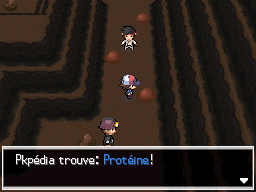 Mont Foré Protéine NB.png