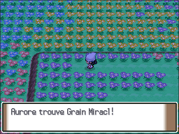 Pré Floraville Grain Miracl Pt.png