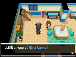 Renouet Méga Canne NB.png
