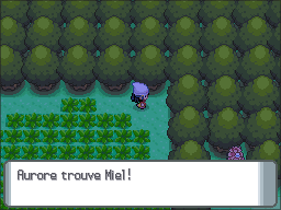 Route 209 Miel DP.png
