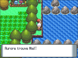 Route 218 Miel DP.png