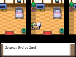 Manoir Pokémon Grelot Zen Pt.png