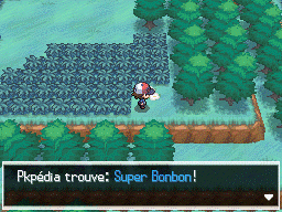Autel Abondance Super Bonbon NB.png