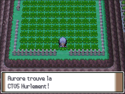 Route 213 CT05 Pt.png