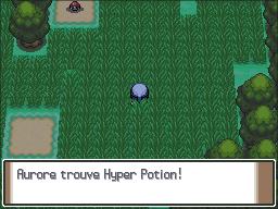 Route 210 Hyper Potion Pt.png