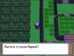 Route 225 Rappel Pt.png