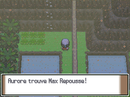 Route 227 Max Repousse Pt.png