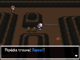 Mont Foré Rappel 2 NB.png