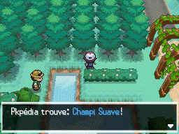 Ogoesse Champi Suave NB.png