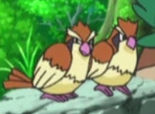 Roucool XY001.png
