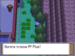 Route 206 PP Plus Pt.png