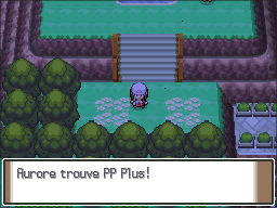Route 213 PP Plus Pt.png