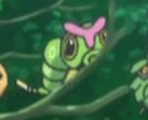 Chenipan XY001.png