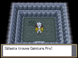 Grotte Argentée Ceinture Pro HGSS.png
